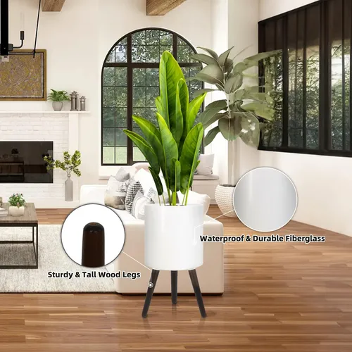Maceta De 10 Pulgadas Con Patas, Planta Moderna, Con Drenaje