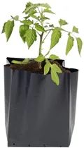 Comprar Macetas Nylon Negras Vivero Agro Jardín - 20 Lts. (x10u)