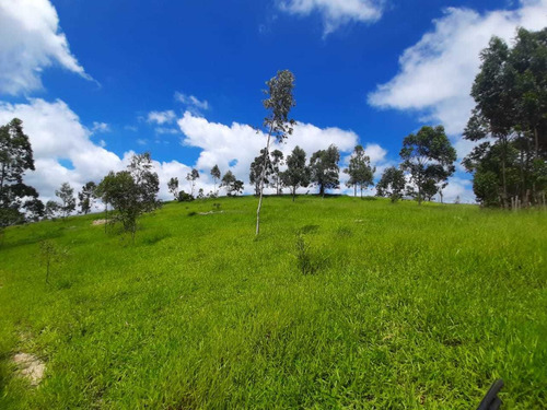 Imagem 8 de 14 de Os Melhores Terrenos No Interior De São Roque