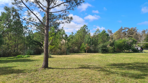 Oportunidad-terreno Con Acogedor Monoambiente-bajo Precio