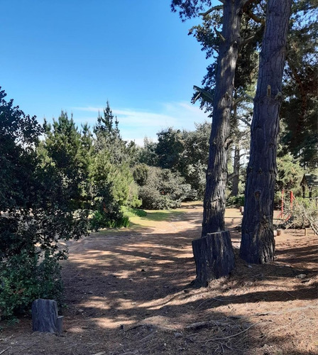 Rebajada Linda Parcela Con 2 Cabañas En Pinares De Algarrobo