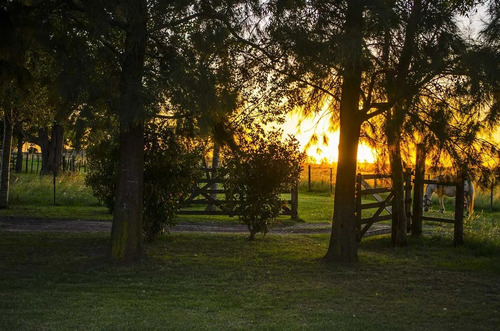 Casa Quinta Campo Chacra La Paz Con Pileta En Gral Rodriguez Para 14 Personas Disponile A Partir De Enero Precio Por Dia