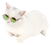 Comprar Gafas O Lentes Gato, Gafas O Lentes Perro, Mascota Estilosa.