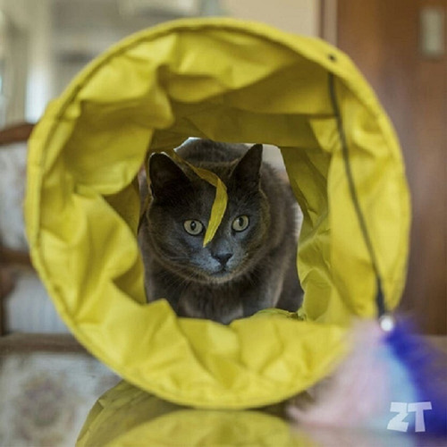 Tunel Plegable Tela Simple Para Gatos Zootec Petit Pet Shop