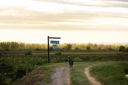 Algodón Wine Estates - Private Estancias
