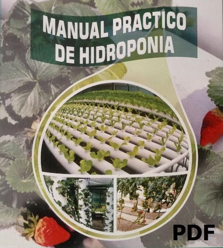 Manual Practico De Hidroponia En Formato Pdf