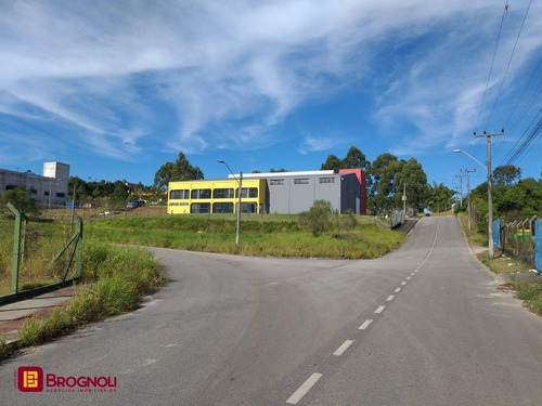 Imagem 13 de 14 de Galpao/deposito - Forquilhas - Ref: 38507 - V-gp41-38507