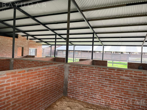 Venta Caballerizas - San Jorge Chico - General Rodriguez