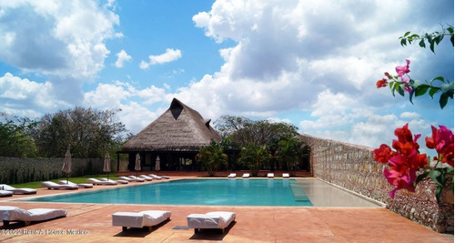 Imagen 13 de 18 de Terreno En Venta En Santa Clara Yucatan Mt 23-2497