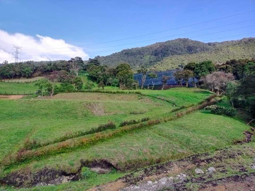 Imagen 26 de 30 de Hermosa Finca Campesina En Venta En Parcelación Excelente Vecindario.