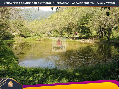 Venta Finca Grande San Cayetano Area Cúcuta 16 Hectareas