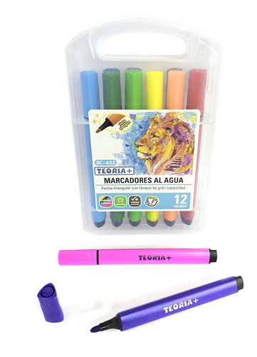 Marcadores De Colores Teoria Estuche Plastico X 12 Colores