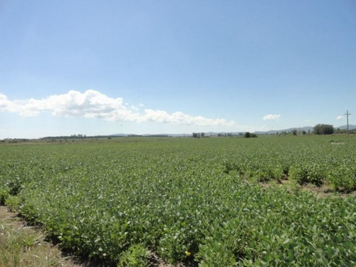 Campo En Venta En Solís De Mataojo