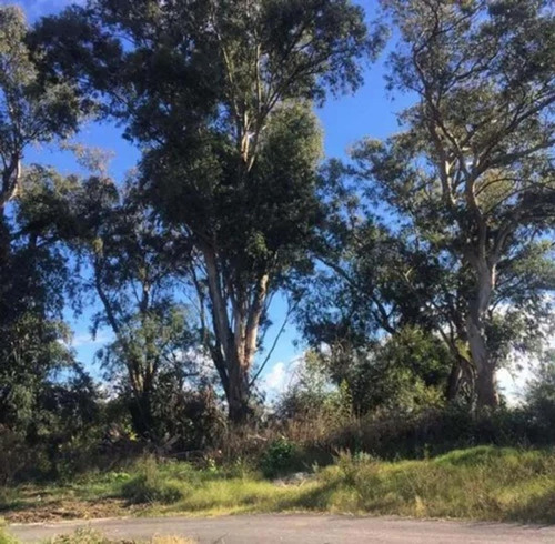 Imagen 4 de 11 de Lote Perimetral En San Juan Chico