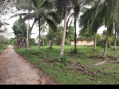 Imagen 18 de 27 de Se Vende Finca El Maitero Via El Sur De Monagas Ve02-1098vs-mtru