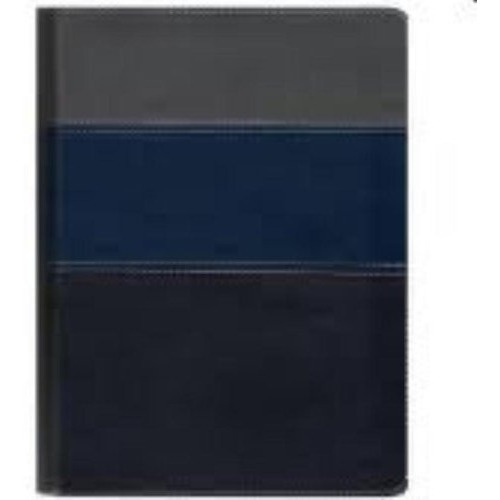 Biblia Thompson Aec Capa Luxo Azul E Cinza