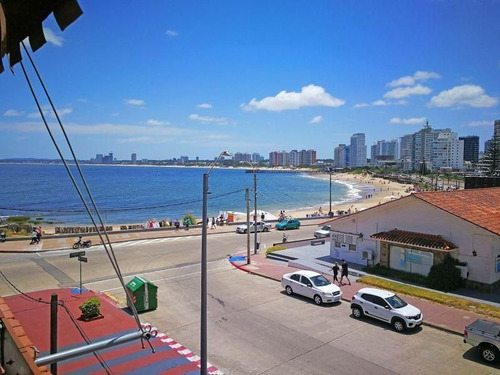 Imagen 2 de 11 de Vende 3 Dorm Punta Del Este Primera Fila