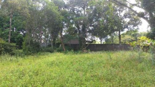 Imagem 22 de 24 de Chácara Com Edícula E Com 2.100 M² De Área Total, Em Itanhaém, No Bairro Palmeiras Ref: 9496/ac