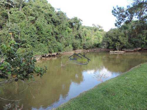 Imagem 27 de 29 de Granja Viana - São Paulo Ii - Ca3075