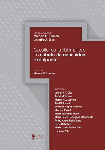 Cuestiones Problematicas De Estado De Necesidad - Lerman 