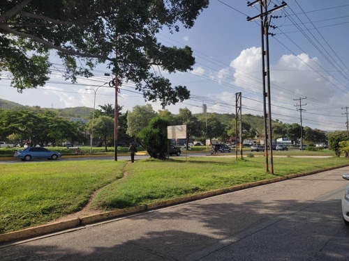 Imagen 11 de 13 de Fernando Guerrero Alquila Terreno Con Zonificación Comercial, Municipio San Diego
