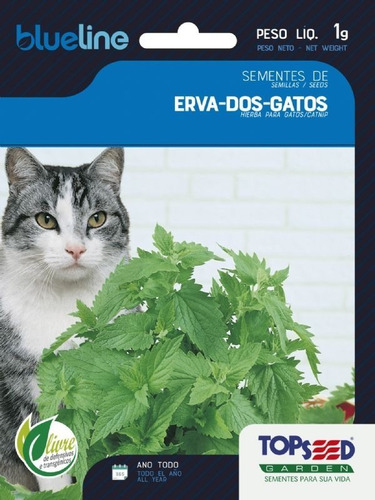 Sementes De Erva Dos Gatos Catnip - 2000 Sementes