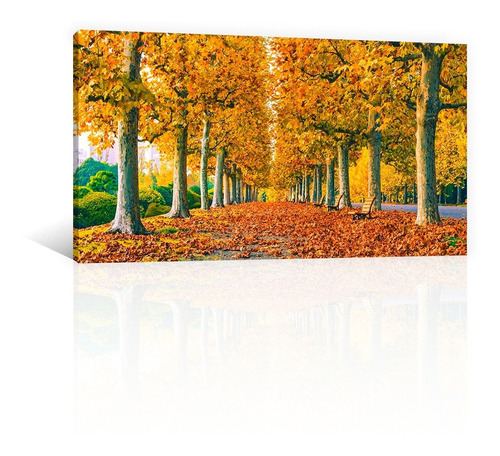 Cuadro Decorativo Canvas Naturaleza Bosque Camino De Otoño