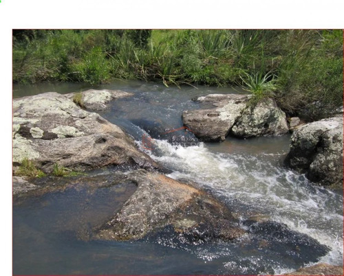 Imagen 6 de 12 de Chacra A La Venta En Maldonado A 49 Km De Punta Del Este, Con Cañadas Y Palmeras
