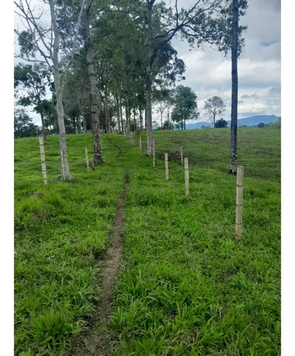 Venta Finca Montenegro Sector Vereda Pueblo Rico - 11 Cuadras