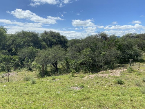 Imagen 6 de 6 de Terreno Comercial En Venta El Sauz