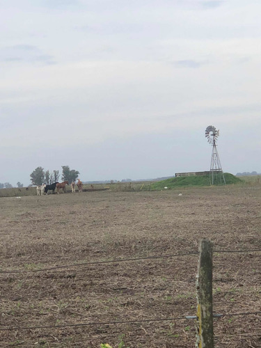 Imagen 12 de 13 de Campo De 170 Hectáreas