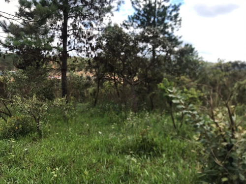 Imagem 20 de 30 de Chácaras Castelo Branco Km 68 Condomínio Vale Da Esperança Mairinque S-p