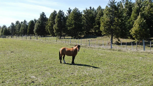 Sitio En Venta En Coihaique