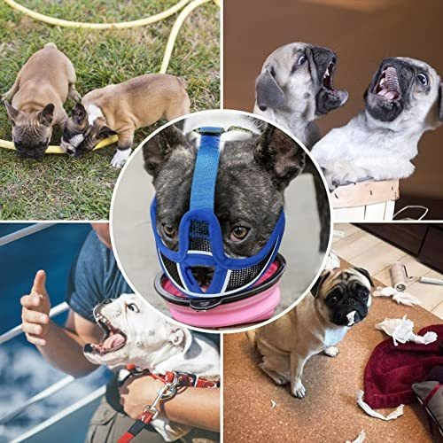 Imagen 6 de 11 de Bozal Para Perro De Hocico Corto Ajustable De Malla Xl Azul