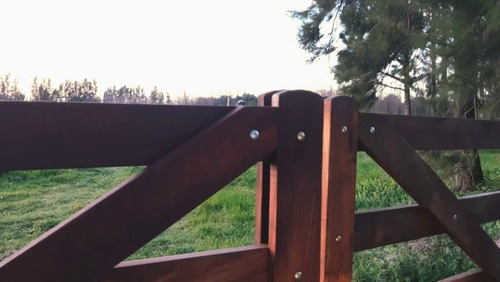 Imagen 18 de 18 de Chacra Mercedes (1,5 Hectareas) Único Por Su Forestación