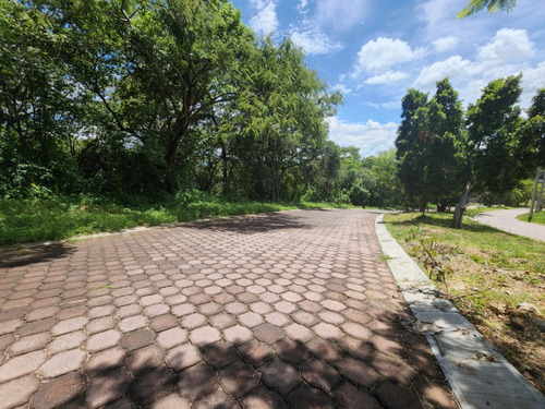 Venta Lote San Diego 56 Sobre Avenida Principal Y Cercanía A Las Amenidades Del Fracc Rancho San Diego Ixtapan De La Sal Edomex