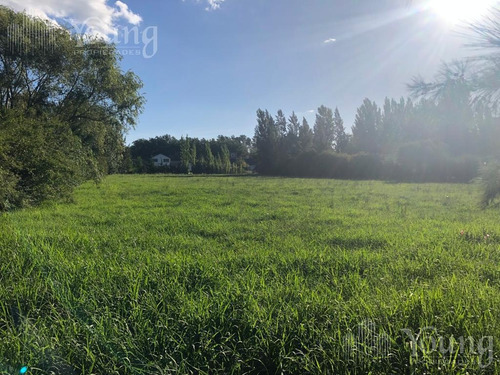 Imagen 6 de 19 de Retazado Terreno Proyecto Aprobado - Campos De Roca L