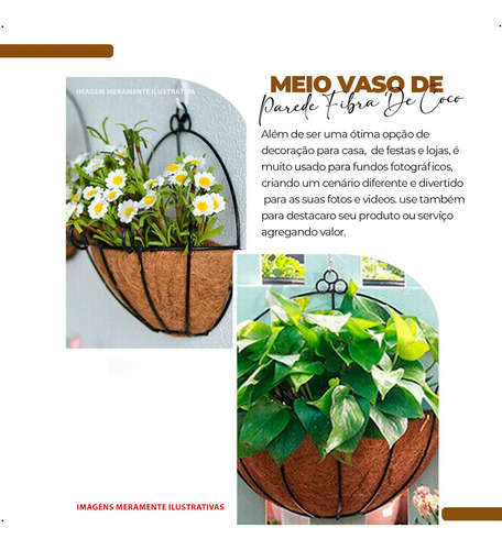 6 Meio Vaso De Parede Fibra De Coco Meia Lua Parede Orquidea