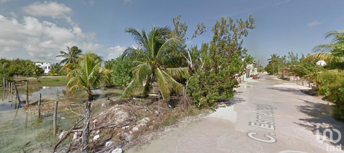 Venta Terreno 0 Ambiente Isla De Holbox