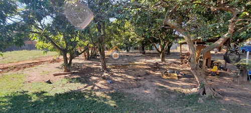 Imagem 6 de 8 de Terreno - Te00368 - 69583420