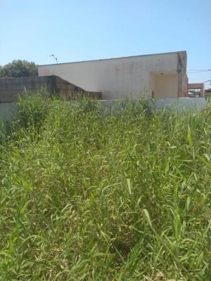 Imagem 10 de 14 de Casa Lado Praia E Escriturada No Tupy - Itanhaém 6109| Npc