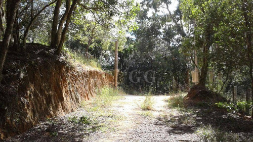 Imagem 9 de 24 de Casa Em Fase De Acabamento - Parque Florestal - Ca0892
