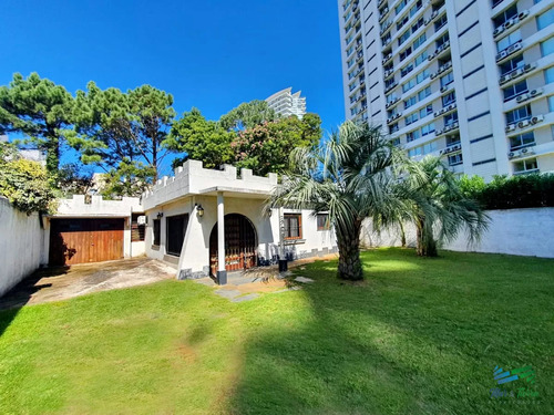 Alquilo Casa 3 Dormitorios Cerca De La Playa Y El Conrad, Punta Del Este