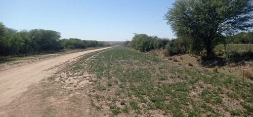 Imagen 12 de 15 de Terreno Campo En Venta Ubicado En La Maruja, Rancul