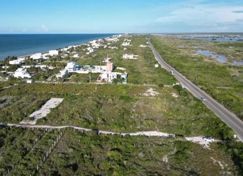 Terrenos A 200 Metros Del Mar En San Benito Yucatán