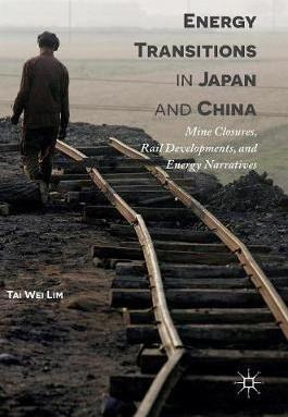 Libro Energy Transitions In Japan And China - Tai-wei Lim