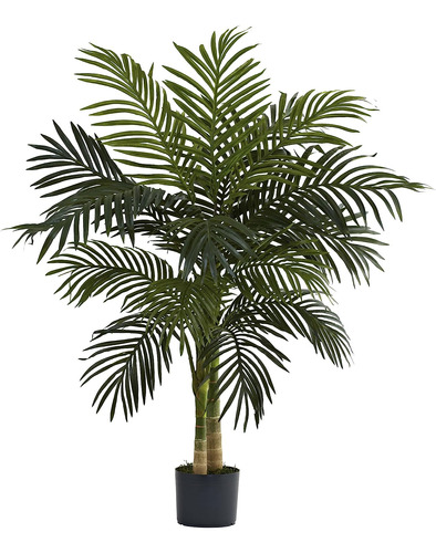 5357 4ft. Palmera Golden Cane, Verde