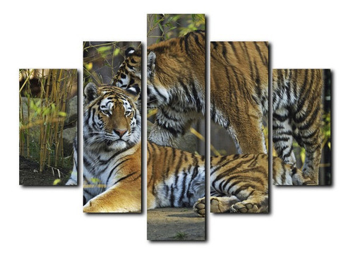 Cuadro Decorativo Canvas 5pz 220x120 Tigres Bengala Pareja