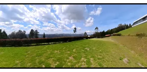 Rhbr-14476 (lote) (guarne, Vda. Montañez)