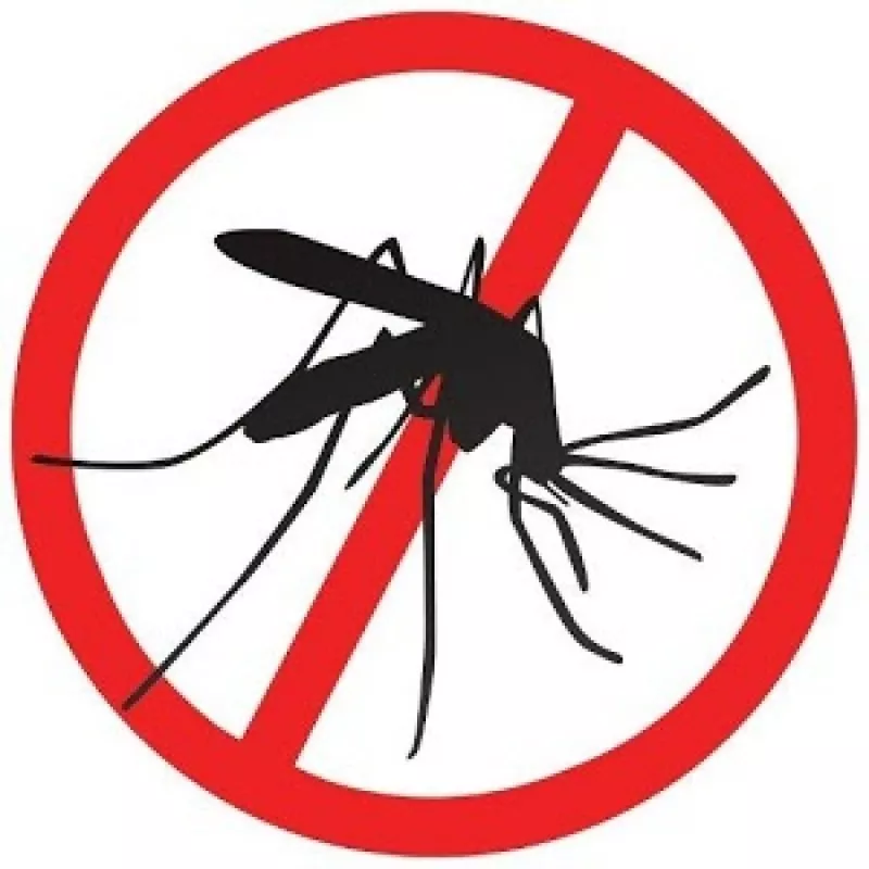 Primera imagen para búsqueda de repelente contra mosquitos para perros